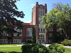 Chester Fritz Library summer