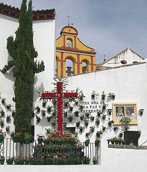 Cruz de mayo bailio