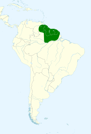 Cyanocorax cayanus map.svg