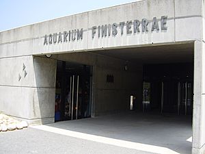 Entrada del Aquarium Finisterrae.jpg