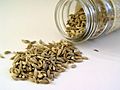 Fennel seed.jpg