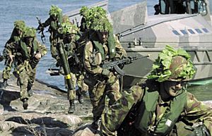 Finnish coastal jaegers