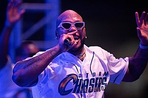 Flo Rida concert at Werner Park (52382760010)