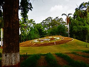 Flora Clock