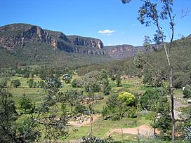 Glen Davis - View of Capertee Valley looking toward site of Oil Shale Works (Jan 2005).jpg