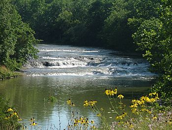 Greenville Creek.jpg