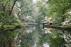 Hagley mill race