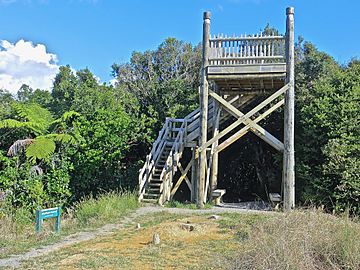 Hakarimata summit tower.jpg