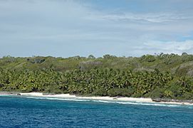 Henderson Island-110244