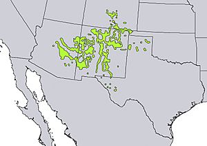 Juniperus monosperma range map.jpg