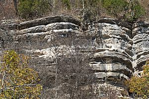 Kentucky River Palisades Close up