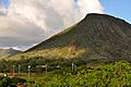 Kokocrater.j.turse201011