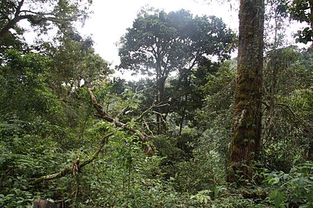 La Amistad International Park