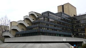 Lasdun Institute of Education back