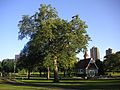 Loring Park-Minneapolis-2006-07-08