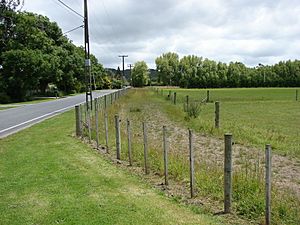 Mangaroa railway station 03