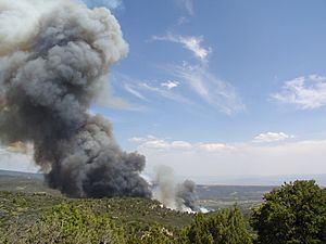 McGruderFire7-03-04