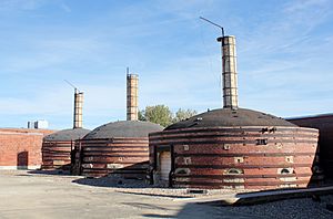 Medalta Potteries kilns 2017.jpg