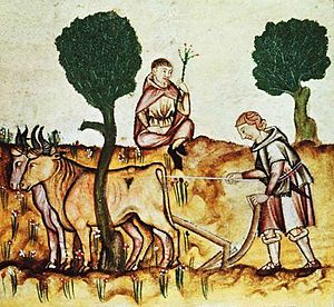 Medieval ploughing