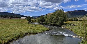 Navajo River above US-84