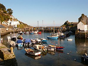 Polperro harbour