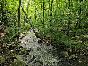 Posts Brook from Norvin Green State Forest Lower Trail