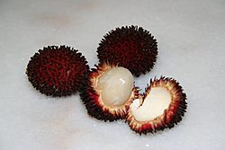 Pulasan fruit2