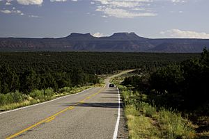 Road in Bears Ears