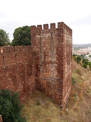 SilvesCastle-Tower.jpg