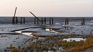 Snettisham-jetty.JPG