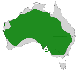 Sugomel nigrum distribution.svg