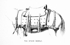 The Otago Saddle-Abyssinia