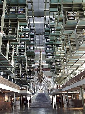 Vasconcelos library