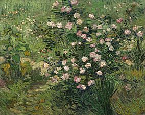 Vincent van Gogh Roses