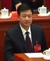 Wang Xiaohong.png