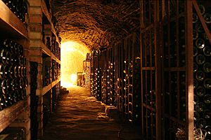 Wine cellar