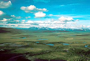 Zane Hills and Koyukuk River