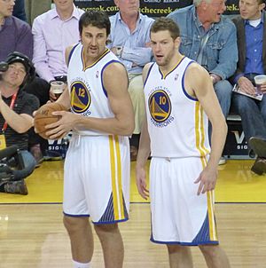 Andrew Bogut and David Lee