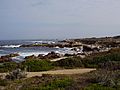 Asilomar State Beach California.jpg