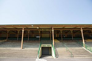 Bathurst Showground 3