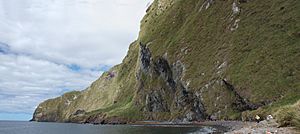 Beach on Inaccessible island