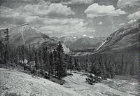 Bow River Valley Alberta