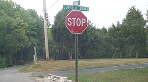 Buffalotraceroadsign