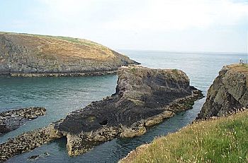 Cardigan Island Carreg Lydan.jpg