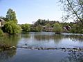 Cromford Pond 2