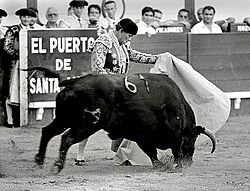 Curro romero puerto