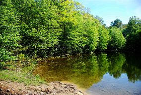 Gambrill state park.jpg