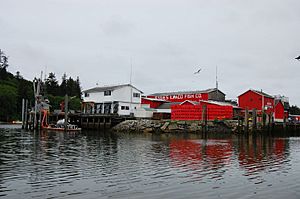 Ilwaco Plant