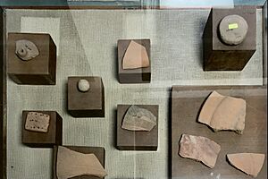 Indus Valley Artefacts Chandigarh