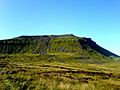 Ingleborough whole